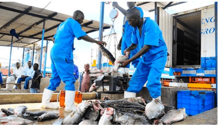 Buweera Planters Limited – Cage Aquaculture image 5